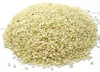Manufacturers Exporters and Wholesale Suppliers of Sesame Seeds MORBI 